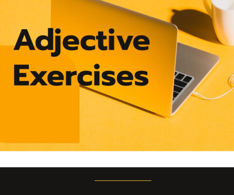 Adjectives Exercises for Class 6 with Answers (Mixed Exercises)